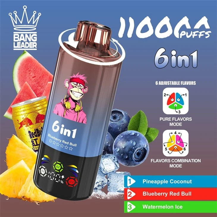 Bang Leader 110K Puffs 6 Flavors factory