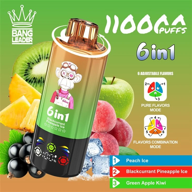 Bang Leader 110K Puffs 6 Flavors best