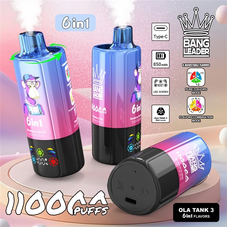 Bang Leader 110K Puffs 6 Flavors