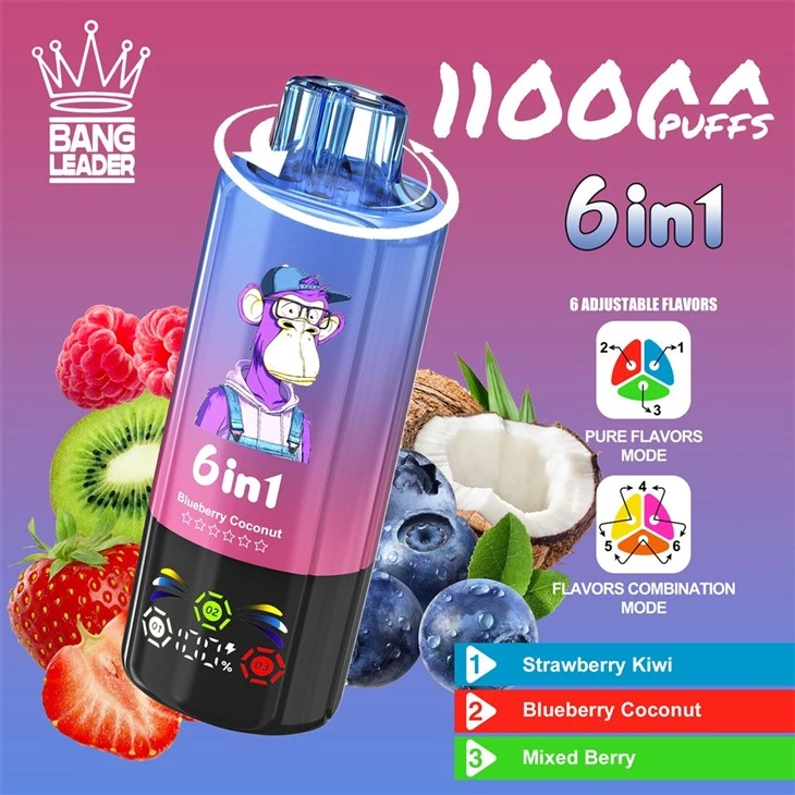 Bang Leader 110K Puffs 6 Flavors suppliers