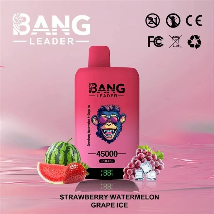 bang-leader-45k-double-flavors-vape-wholesale  (3)