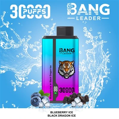 Bang Leader 30k Double saveurs Vape jetable